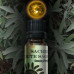 Sacred White Sage World Oil